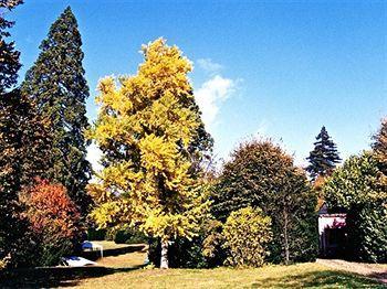 Chateau Les Vallees En Touraine Frühstückspension