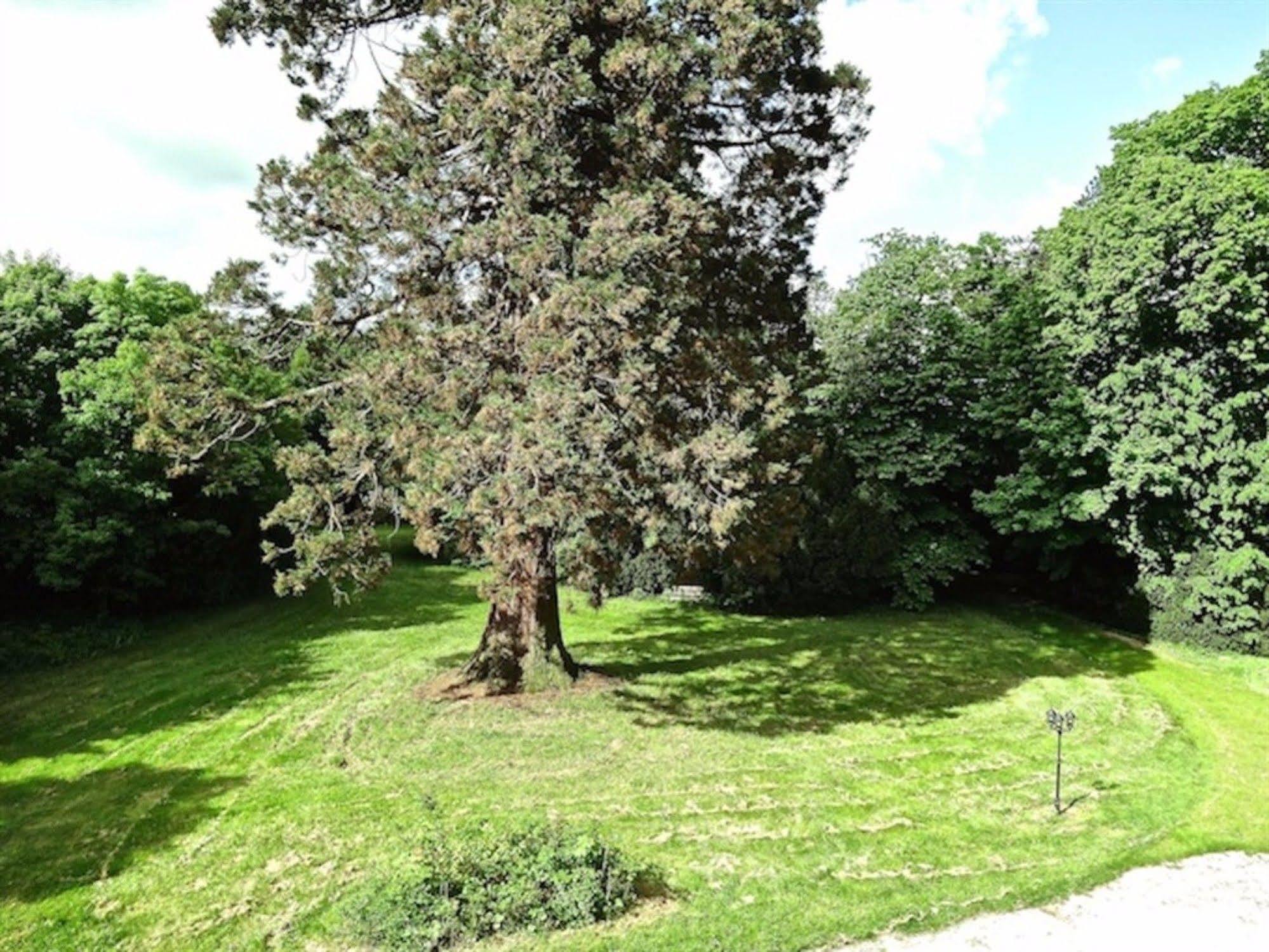 Chateau Les Vallees En Touraine 4* Tournon-Saint-Pierre